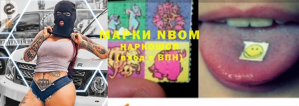 индика Верея