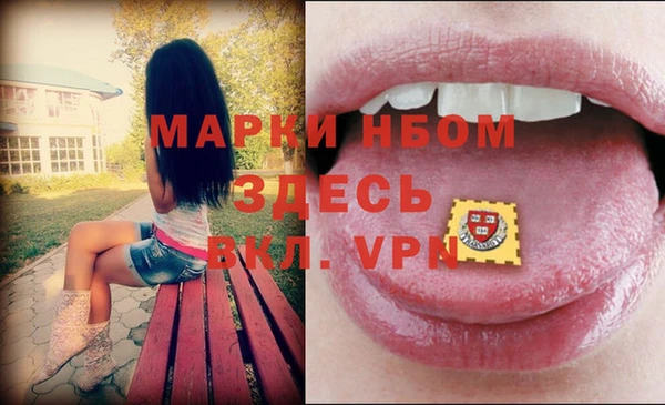 индика Верея