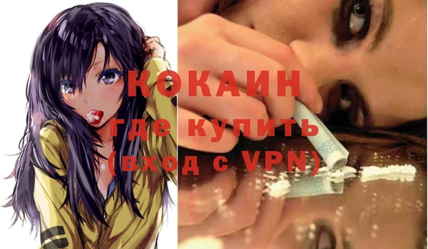 индика Верея